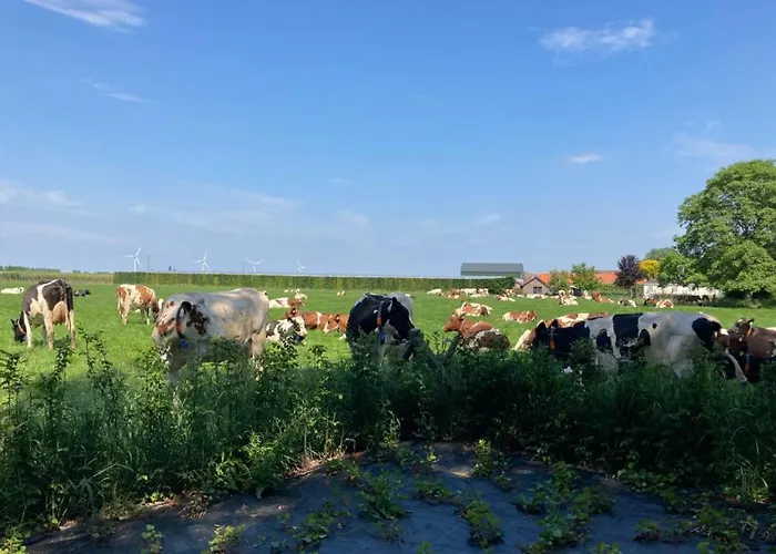 't Отель типа 